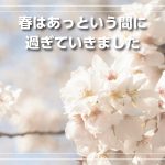 春はあっという間に過ぎていきました